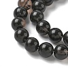 Natural Ice Obsidian Beads Strands G-P590-A03-10mm-03-4