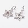 Brass Micro Pave Cubic Zirconia Pendants ZIRC-P064-11P-2