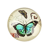 Butterfly Printed Glass Half Round/Dome Cabochons X-GGLA-N004-12mm-C-2