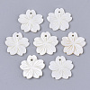 Freshwater Shell Pendants LS-SHEL-N026-03-1