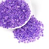 Transparent Inside Colours Glass Seed Beads SEED-T007-11B-3