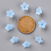 Transparent Acrylic Beads PL554-12-4