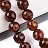 Tibetan Style dZi Agate Beads Strands G-N357-04A-02-1
