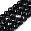 Natural Agate Beads Strands G-N326-100A-12-1