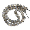Natural Labradorite Beads Strands G-F832-A09-01-3