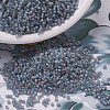 MIYUKI Delica Beads SEED-X0054-DB0863-4