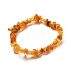 Natural Amber Chip Beads Stretch Bracelets Set for Parent and Kid BJEW-JB06819-3