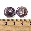 Natural Amethyst Donut/Pi Disc Charms G-G142-02L-3