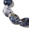 Natural Blue Spot Jasper Beads Strands G-I377-A12-4