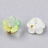 Frosted Transparent Acrylic Beads X-OACR-N137-72H-3
