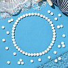 2 Strands Natural Freshwater Shell Beads Strands SSHEL-SC0001-36B-5
