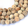 Frosted Natural Picture Jasper Round Bead Strands G-E334-12mm-26-1