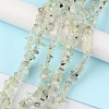 Natural Prehnite Beads Strands G-G0003-B12-2