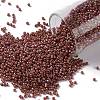 TOHO Round Seed Beads SEED-XTR15-2641F-1