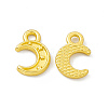 Rack Plating Alloy Charms FIND-G045-04MG-1