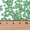 6/0 Czech Opaque Glass Seed Beads SEED-N004-003D-02-6