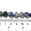 Natural Blue Spot Jasper Beads Strands G-R190-10mm-62-5