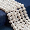 Natural Cultured Freshwater Pearl Beads Strands X-PEAR-N013-07C-3