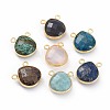 Natural Mixed Stone Charms G-L547-030-1