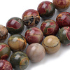 Natural Polychrome Jasper/Picasso Stone/Picasso Jasper Beads Strands G-S259-23-12mm-1