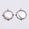 Pendant Making Sets DIY-X0269-10AS-RS-2