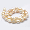 Natural Cultured Freshwater Pearl Beads Strands PEAR-K004-05A-01-2