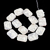 Plating Natural Freshwater Shell Beads Strands SHEL-N026-223-2