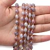 Natural Lepidolite Beads Strands G-F809-A43-01-6