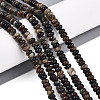 Natural Biotite Beads Strands G-T140-69B-1