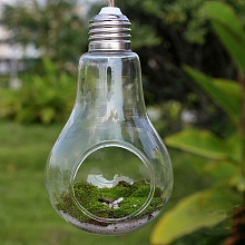 Bulb Shape Hanging Glass Planter PW-WG30992-01