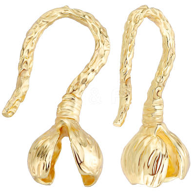 10Pcs Rack Plating Brass Hook Clasps KK-BBC0010-48-1