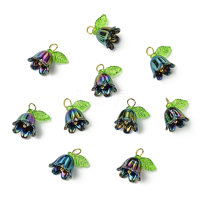 Transparent Acrylic Pendants PALLOY-YW00081-02-1