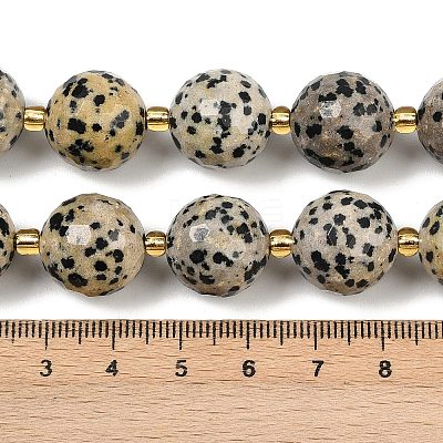 Natural Dalmatian Jasper Beads Strands G-C249-A02-16mm-1