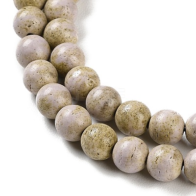 Natural Rainbow Alashan Agate Beads Strands G-NH0022-A02-01-1