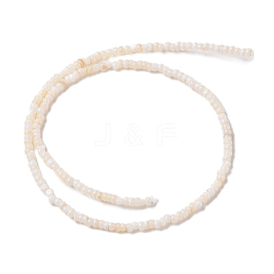 Natural Freshwater Shell Beads Strands SHEL-P017-01B-02-1