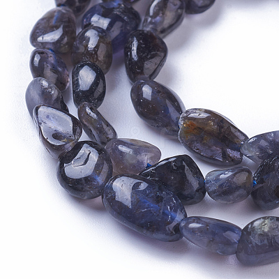 Natural Iolite Beads Strands G-P433-13-1