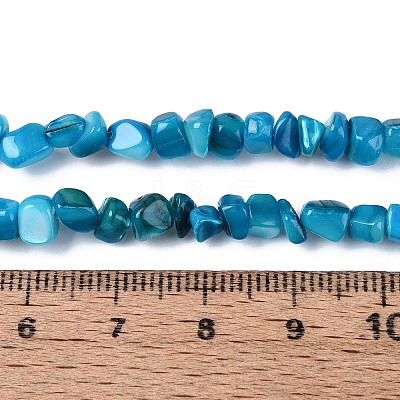 Natural Freshwater Shell Beads Strands SHEL-N037-04I-1
