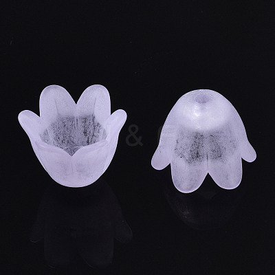 Transparent Acrylic Bead Caps FACR-N005-002F-1