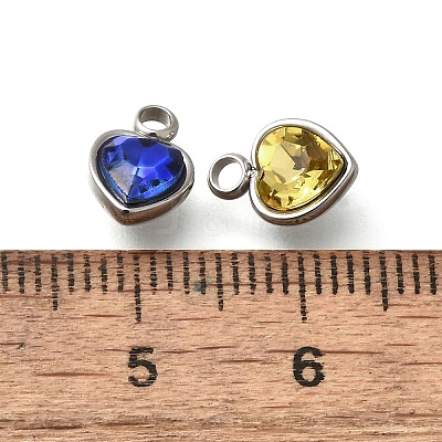 304 Stainless Steel with Rhinestone Pendants STAS-Q346-01P-1