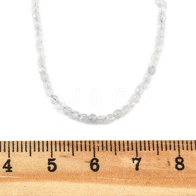 Natural Labradorite Beaded Necklaces NJEW-JN02492-07-1