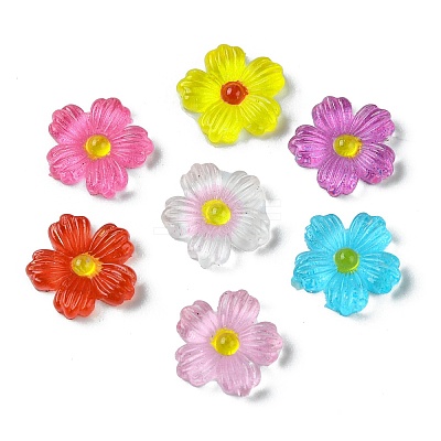 Translucent Resin Cabochons RESI-E039-14-1