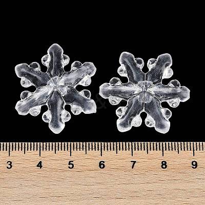 Transparent Acrylic Beads LS-X-TACR-U008-01B-1