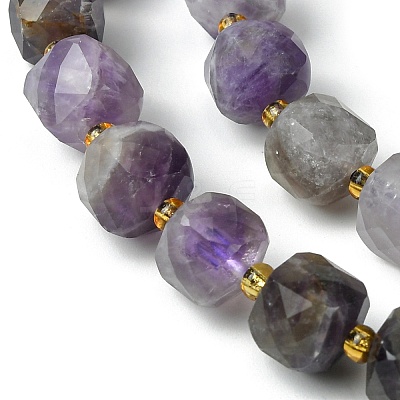 Natural Amethyst Beads Strands G-Q010-A07-01-1