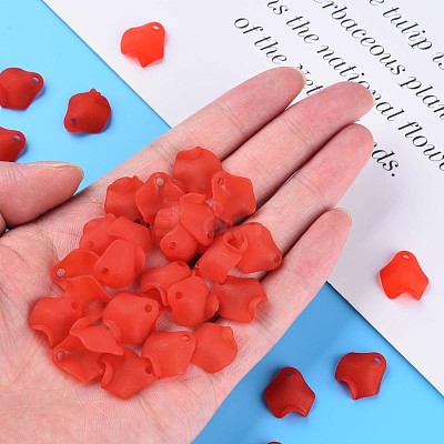 Transparent Acrylic Beads MACR-S373-106-D01-1