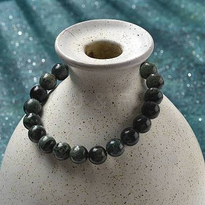 Natural Kambaba Jasper Stretch Beaded Bracelets G-A185-01V-1