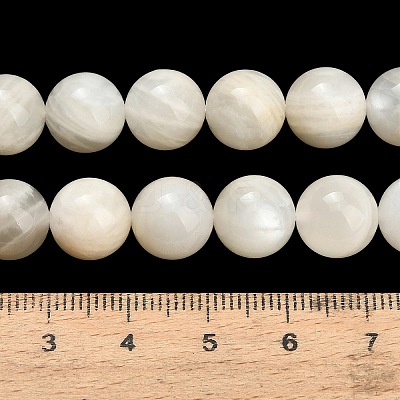 Natural White Moonstone Beads Strands G-L664-A01-10mm-1