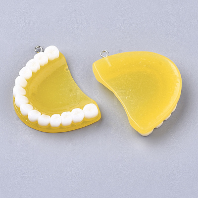 Resin Pendants X-RESI-T028-14-1