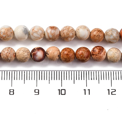 Dyed Natural Regalite/Imperial Jasper/Sea Sediment Jasper Beads Strands G-B124-C02-10-1
