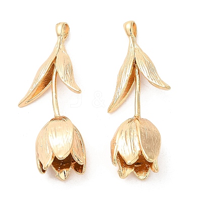 Brass Pendants KK-G468-56G-1