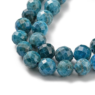 Natural Apatite Beads Strands G-G927-32-9MM-1